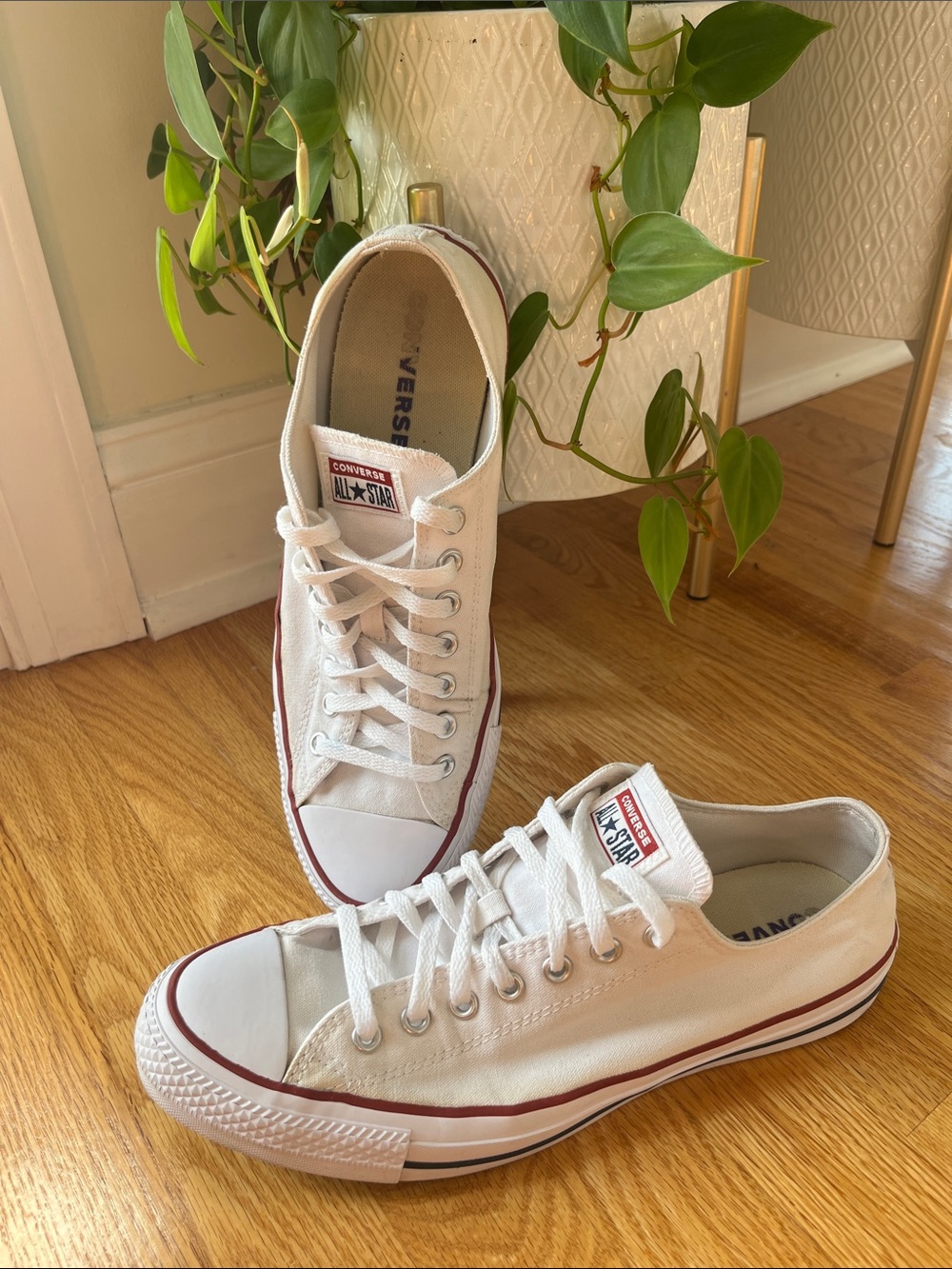 Converse White Low Top Canvas Sneakers with Red Trim